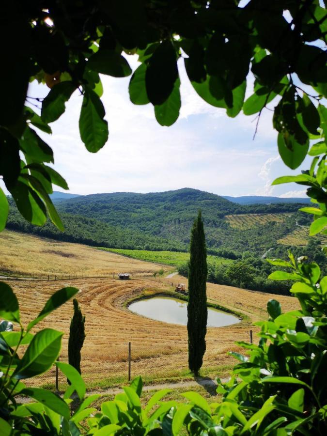 Agriturismo Selvella Allerona Экстерьер фото